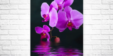 Cele mai bune panouri radiante