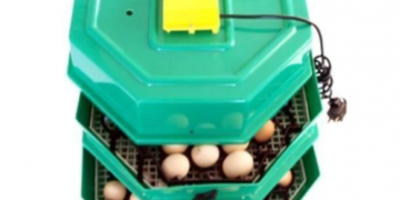 Cea mai bună clocitoare