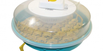 Cel mai bun incubator de ouă