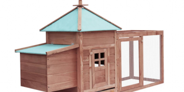 Cel mai bun coteț de găini